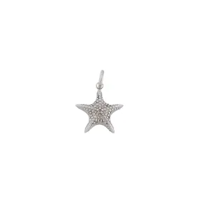Charm Starfish Steel