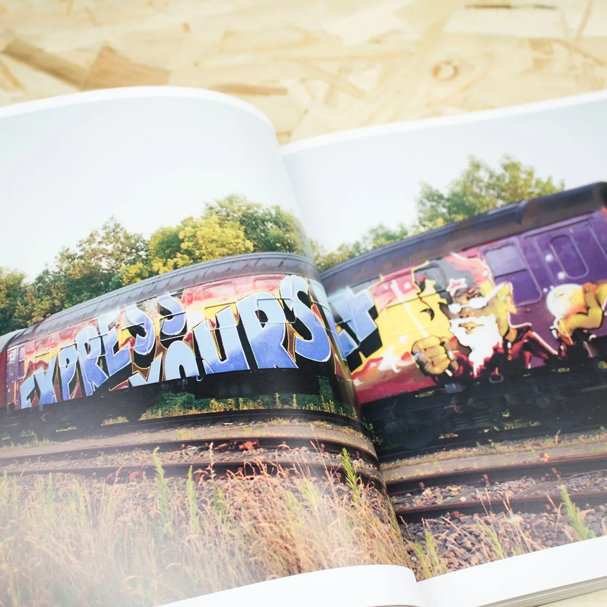 Kristian Kutschera - Action Paiting - Bringing Art to the Trains