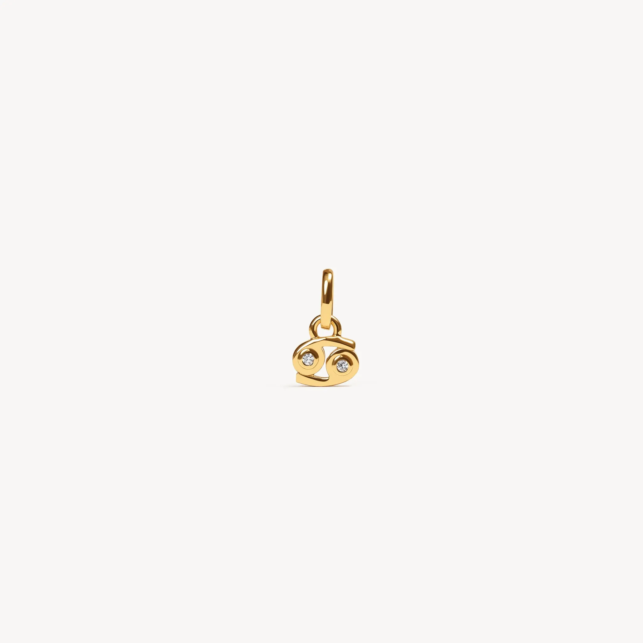 Zodiac Charm