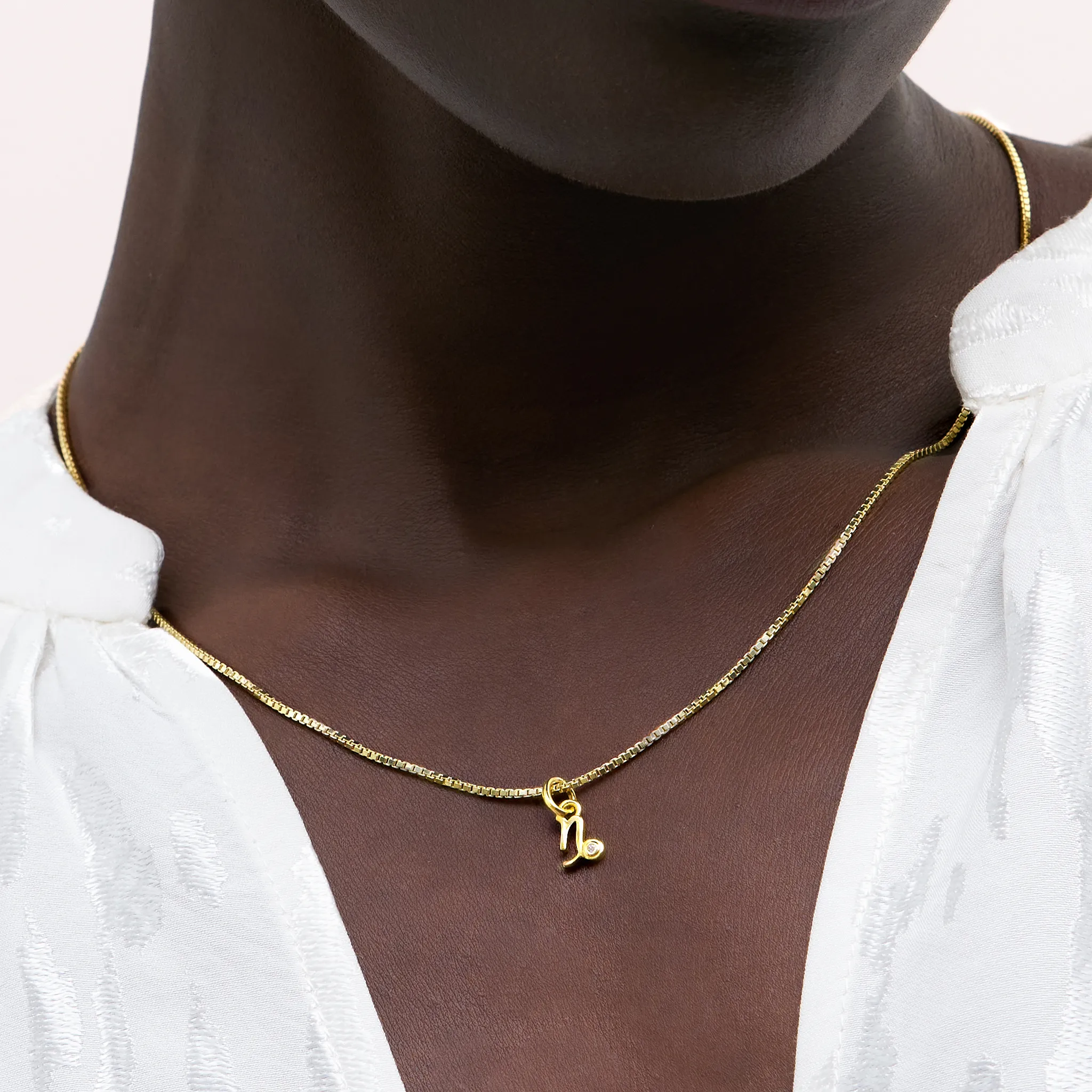 Zodiac Charm