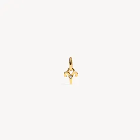 Zodiac Charm