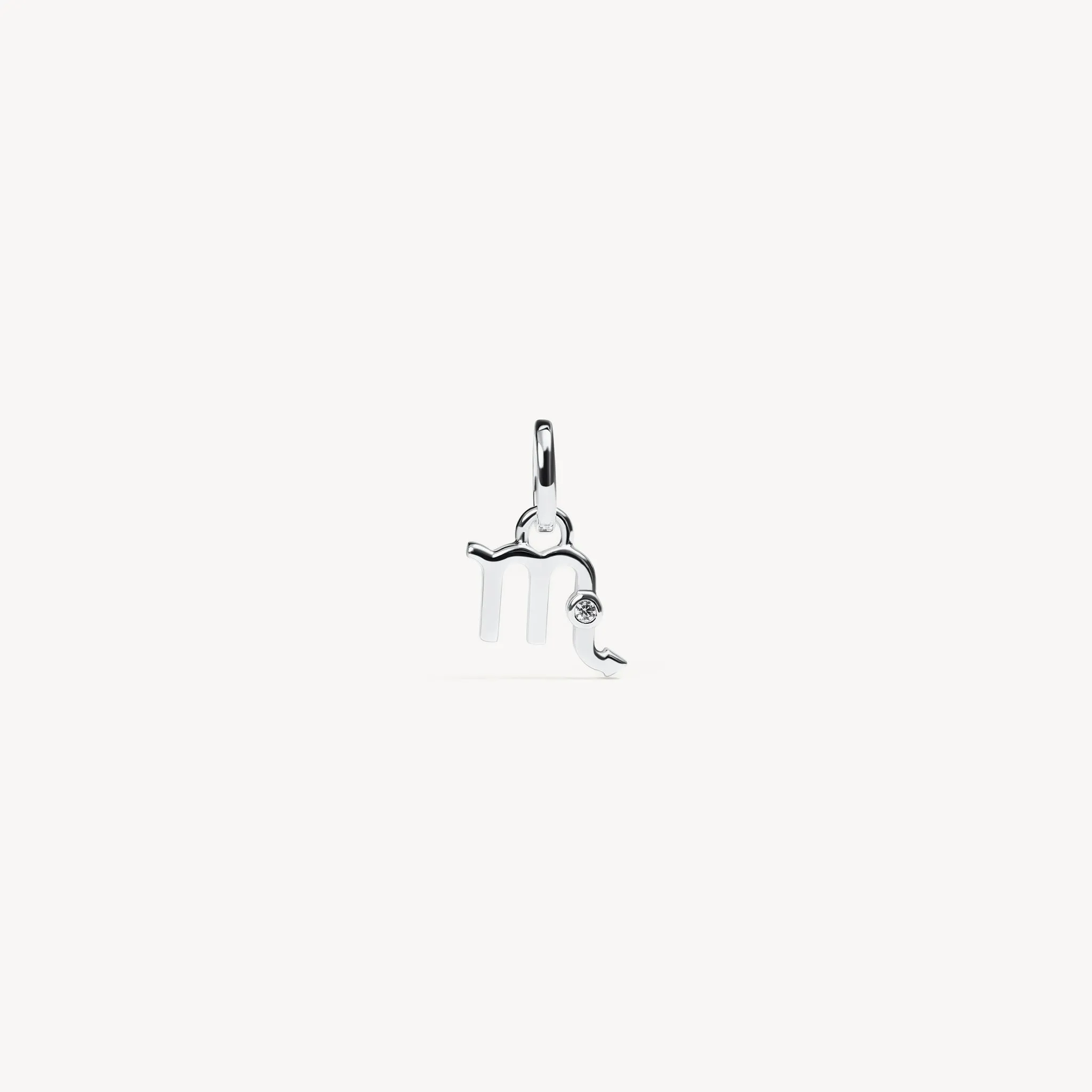 Zodiac Charm