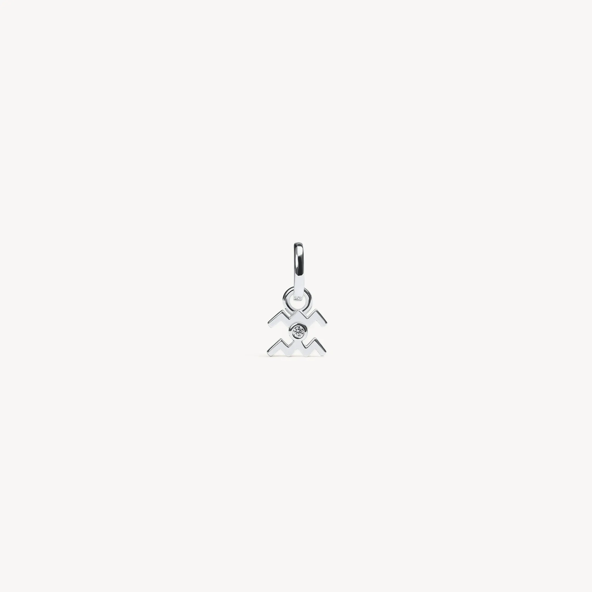 Zodiac Charm