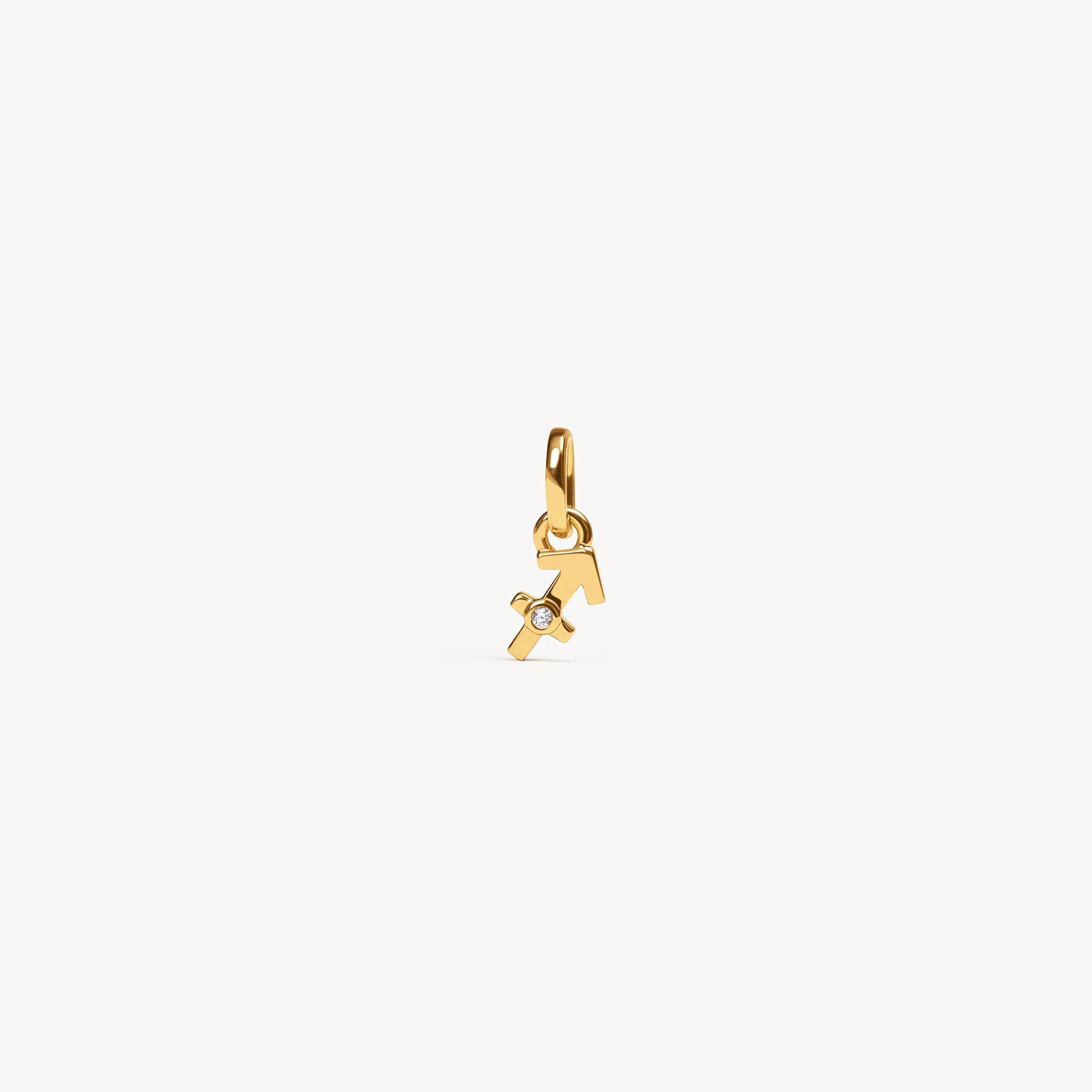 Zodiac Charm