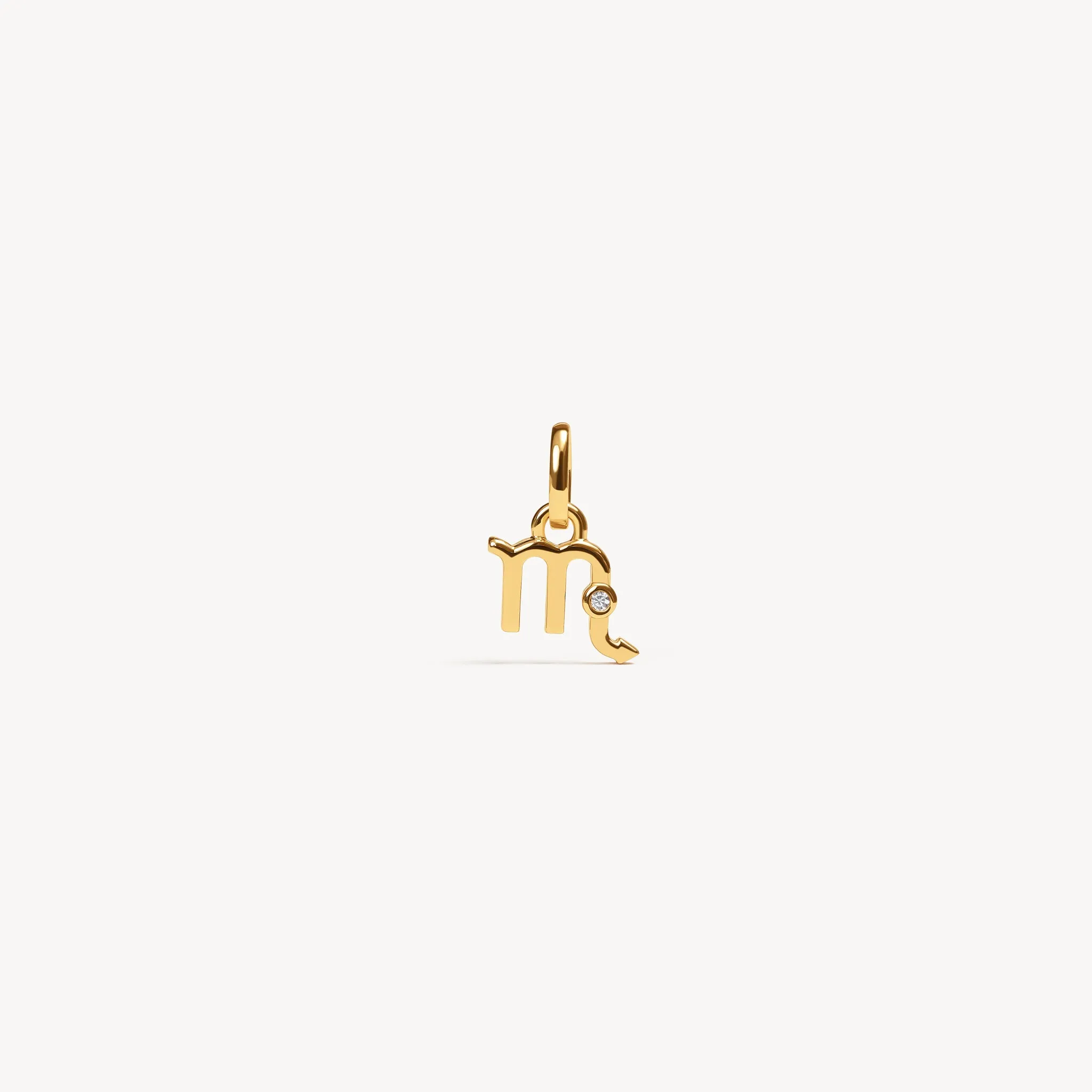 Zodiac Charm
